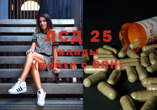 spice Арсеньев