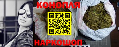 соль ск Новозыбков
