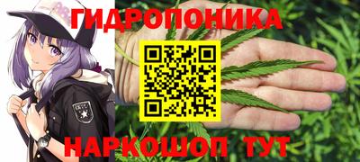 прущие грибы Новодвинск