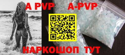 соль ск Новозыбков