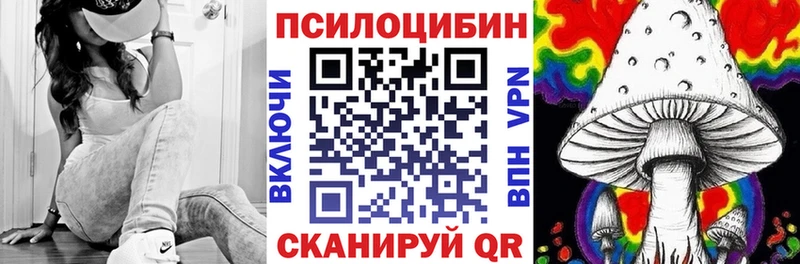 Псилоцибиновые грибы Psilocybine cubensis  Георгиевск 
